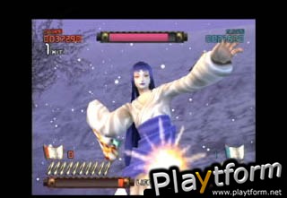 Ninja Assault (PlayStation 2)