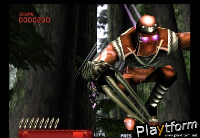 Ninja Assault (PlayStation 2)