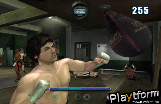 Rocky (GameCube)