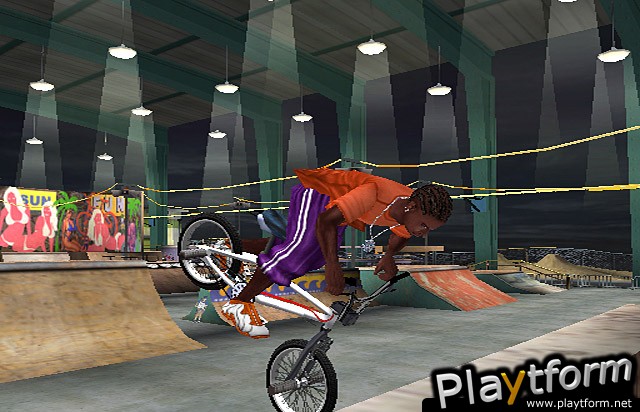 BMX XXX (PlayStation 2)