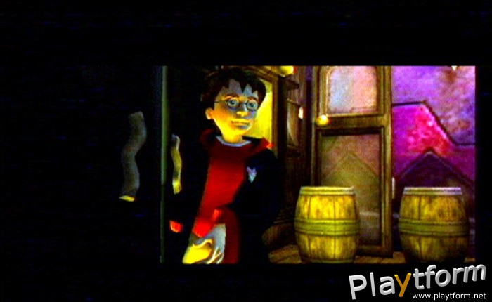 Harry Potter and the Chamber of Secrets (PlayStation 2)