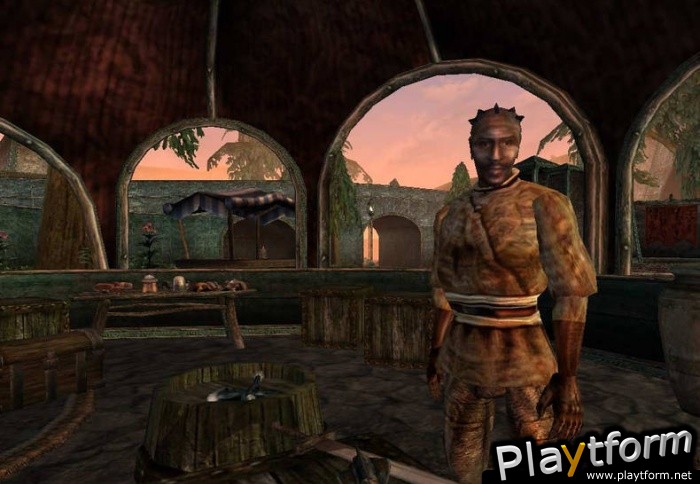 The Elder Scrolls III: Tribunal (PC)