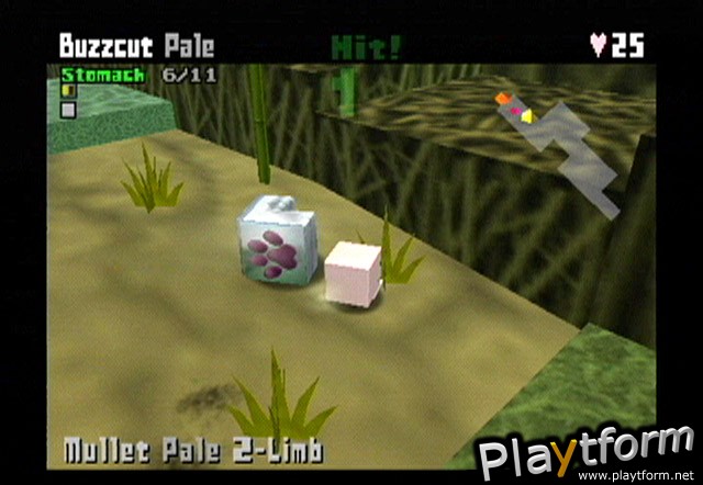 Cubivore: Survival of the Fittest (GameCube)