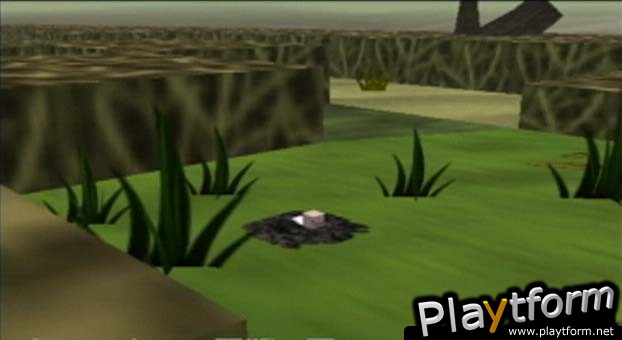 Cubivore: Survival of the Fittest (GameCube)