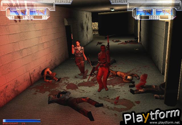 Twin Caliber (PlayStation 2)