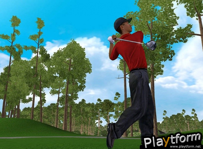 Tiger Woods PGA Tour 2003 (PC)