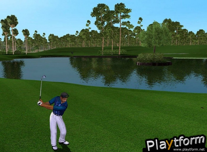 Tiger Woods PGA Tour 2003 (PC)