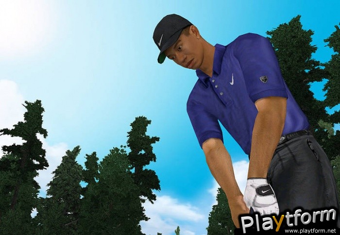 Tiger Woods PGA Tour 2003 (PC)