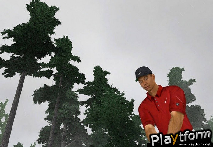 Tiger Woods PGA Tour 2003 (PC)