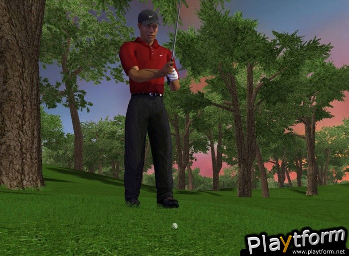 Tiger Woods PGA Tour 2003 (PC)