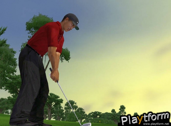 Tiger Woods PGA Tour 2003 (PC)