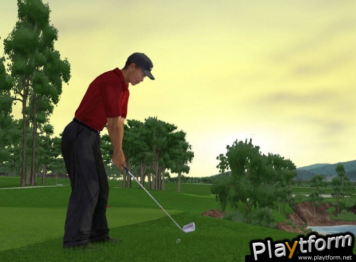 Tiger Woods PGA Tour 2003 (PC)