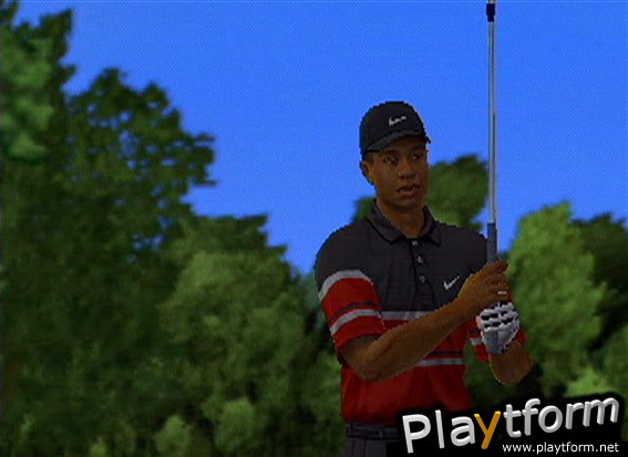 Tiger Woods PGA Tour 2003 (PlayStation 2)