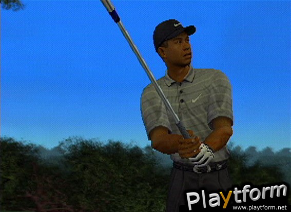 Tiger Woods PGA Tour 2003 (PlayStation 2)