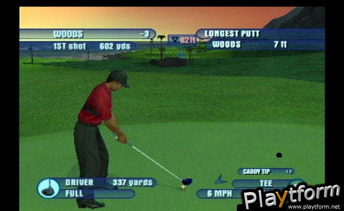 Tiger Woods PGA Tour 2003 (PlayStation 2)