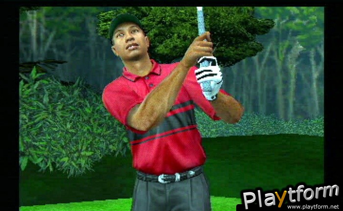 Tiger Woods PGA Tour 2003 (PlayStation 2)