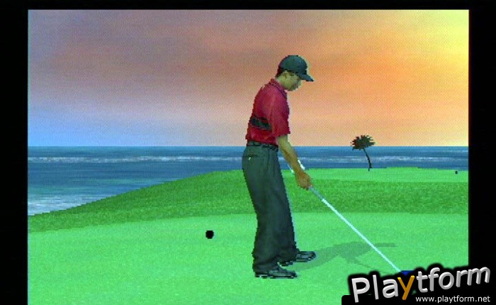 Tiger Woods PGA Tour 2003 (PlayStation 2)