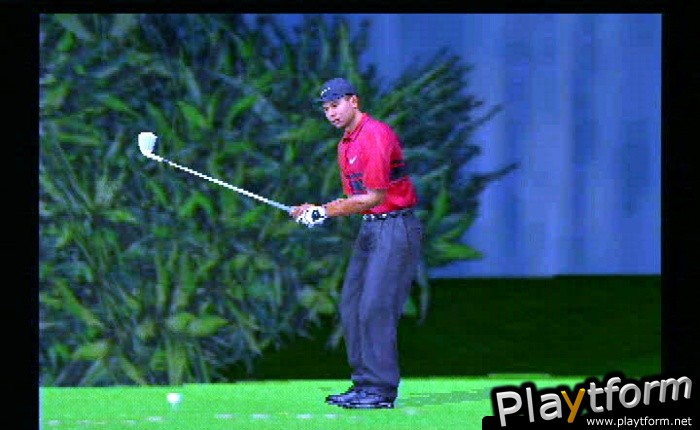 Tiger Woods PGA Tour 2003 (PlayStation 2)