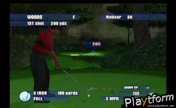 Tiger Woods PGA Tour 2003 (PlayStation 2)