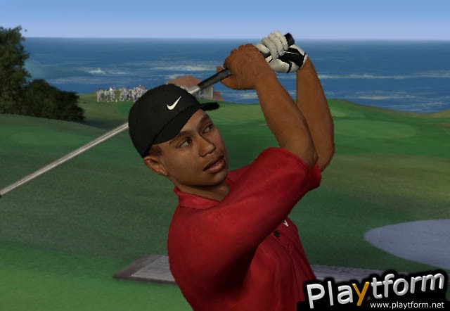 Tiger Woods PGA Tour 2003 (PlayStation 2)