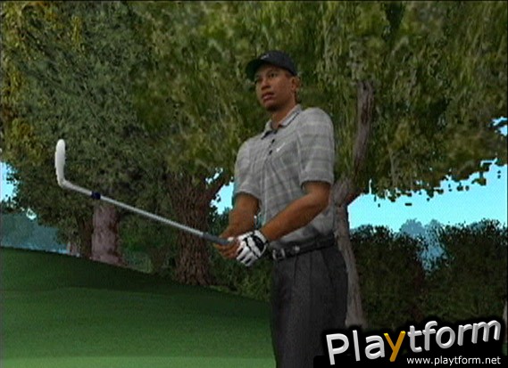 Tiger Woods PGA Tour 2003 (GameCube)