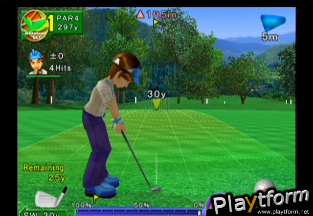 Swingerz Golf (GameCube)