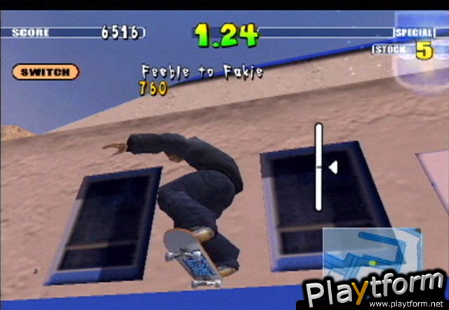 Evolution Skateboarding (PlayStation 2)