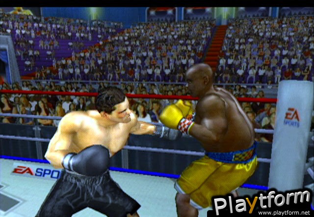 Knockout Kings 2003 (GameCube)