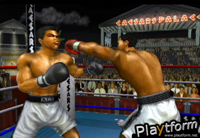 Knockout Kings 2003 (GameCube)