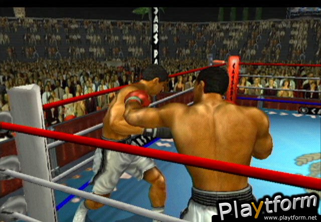 Knockout Kings 2003 (GameCube)