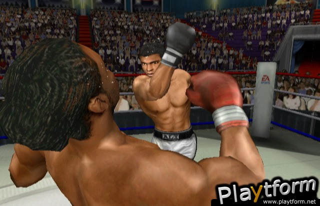 Knockout Kings 2003 (GameCube)