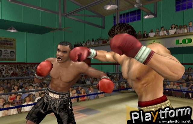 Knockout Kings 2003 (GameCube)