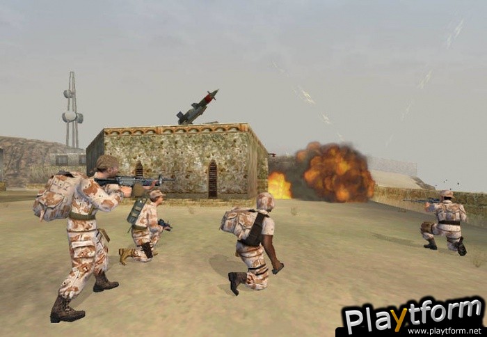 Conflict: Desert Storm (PC)