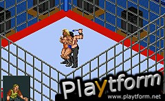 Fire Pro Wrestling 2 (Game Boy Advance)