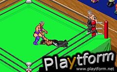 Fire Pro Wrestling 2 (Game Boy Advance)