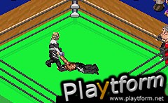 Fire Pro Wrestling 2 (Game Boy Advance)