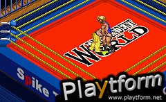 Fire Pro Wrestling 2 (Game Boy Advance)