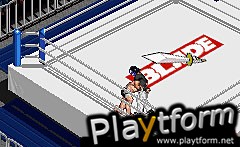 Fire Pro Wrestling 2 (Game Boy Advance)