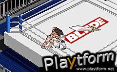 Fire Pro Wrestling 2 (Game Boy Advance)