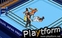 Fire Pro Wrestling 2 (Game Boy Advance)