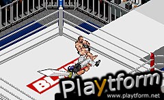 Fire Pro Wrestling 2 (Game Boy Advance)