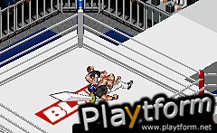 Fire Pro Wrestling 2 (Game Boy Advance)