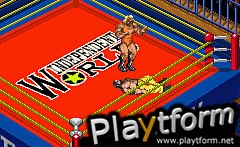 Fire Pro Wrestling 2 (Game Boy Advance)