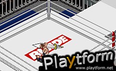 Fire Pro Wrestling 2 (Game Boy Advance)