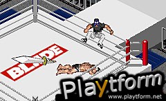 Fire Pro Wrestling 2 (Game Boy Advance)