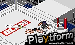 Fire Pro Wrestling 2 (Game Boy Advance)