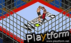 Fire Pro Wrestling 2 (Game Boy Advance)