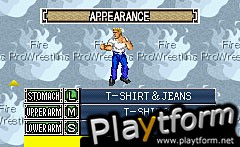 Fire Pro Wrestling 2 (Game Boy Advance)