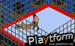 Fire Pro Wrestling 2 (Game Boy Advance)