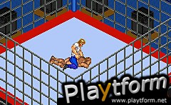 Fire Pro Wrestling 2 (Game Boy Advance)